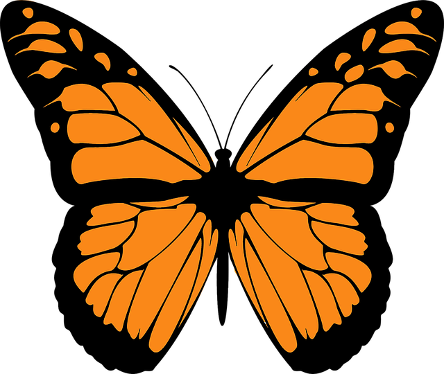 monarch butterfly logo